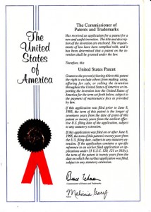 미국특허
